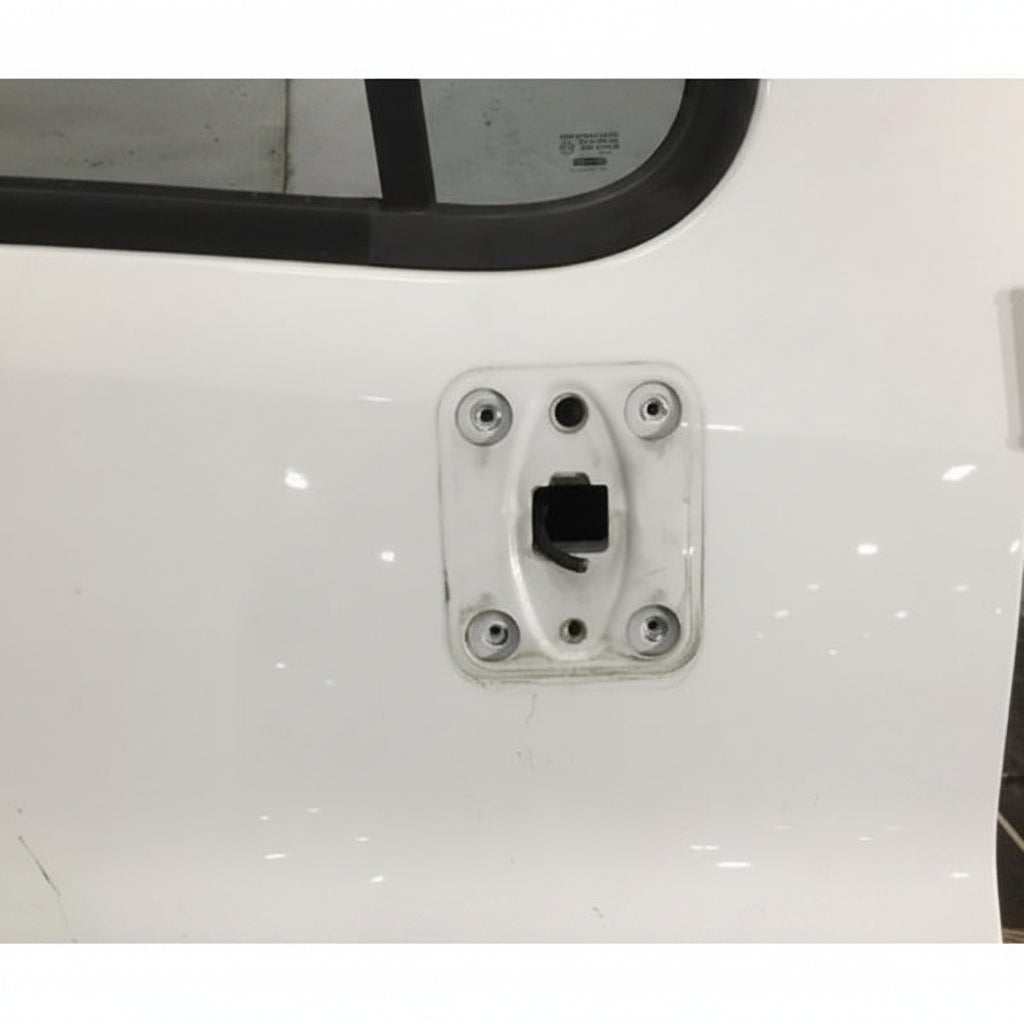 Complete RH door assembly OEM