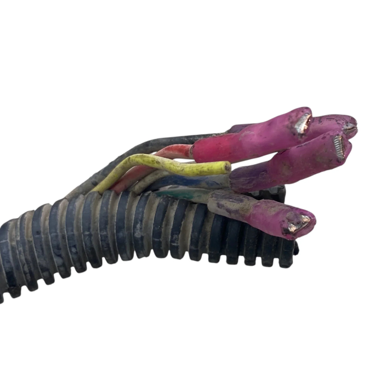 3036545C1 Genuine International EGR Valve - Second Truck Parts