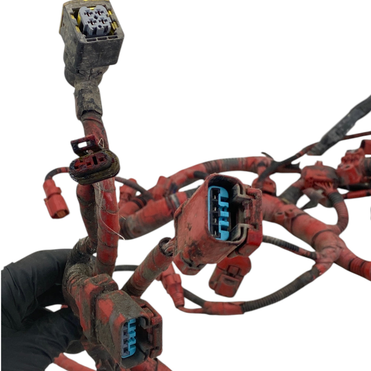 5689168 Genuine Cummins Engine Control Module Wiring Harness - Second Truck Parts