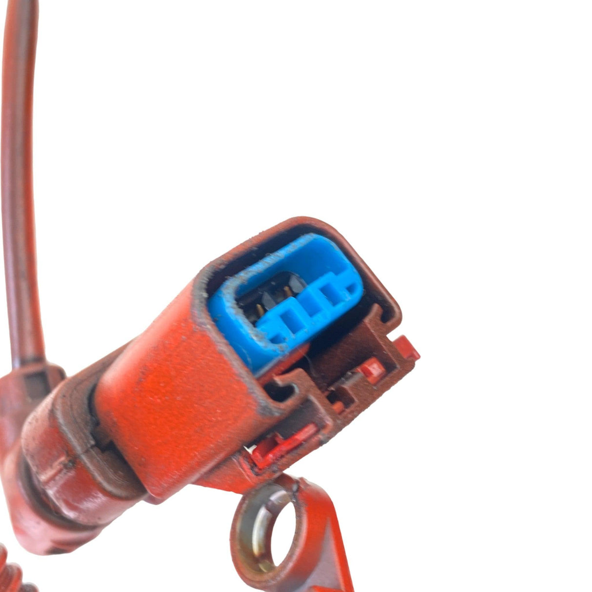 5612187 Genuine Cummins Electronic Control Module Wiring Harness - Second Truck Parts