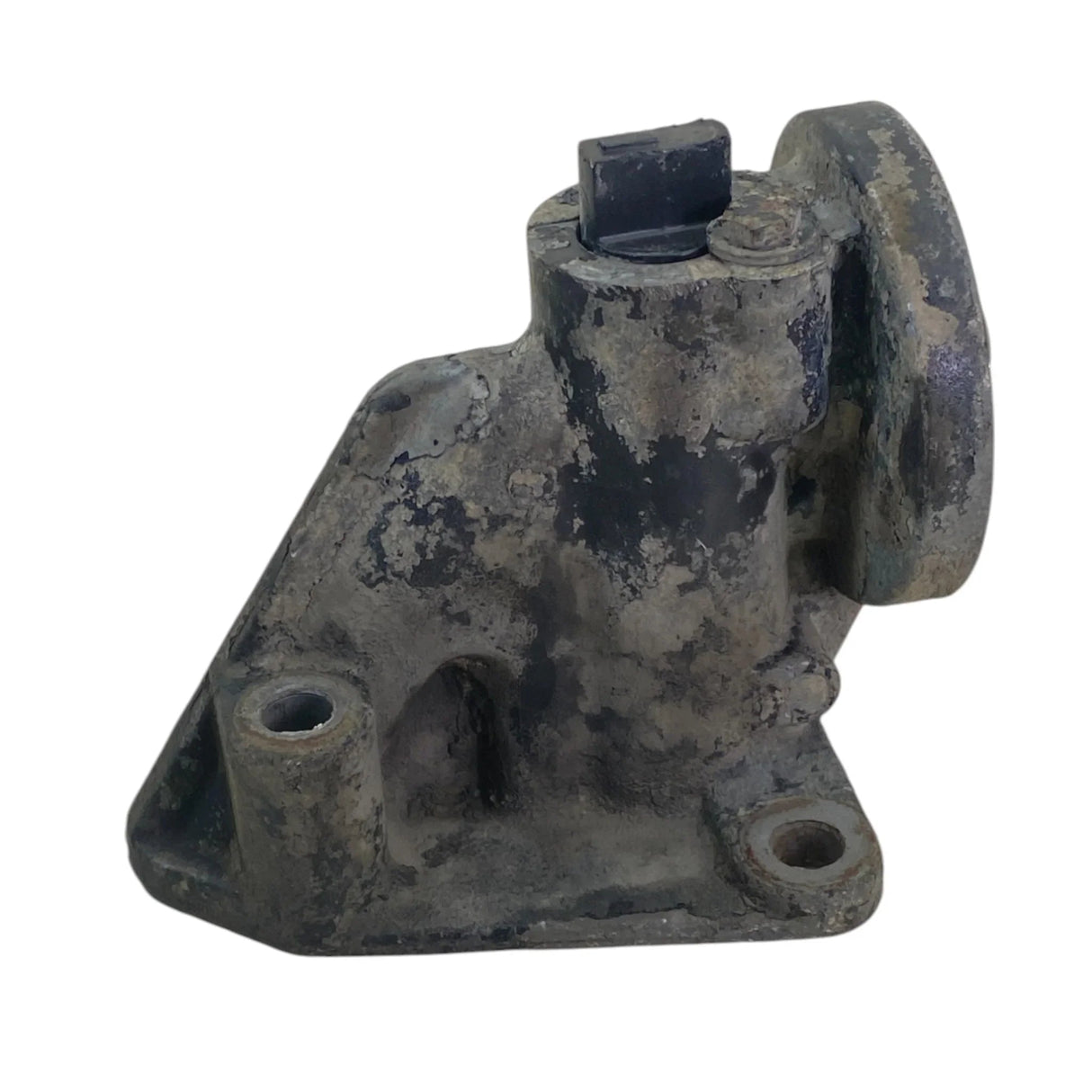 4356679 Genuine Cummins Water Filter Holder
