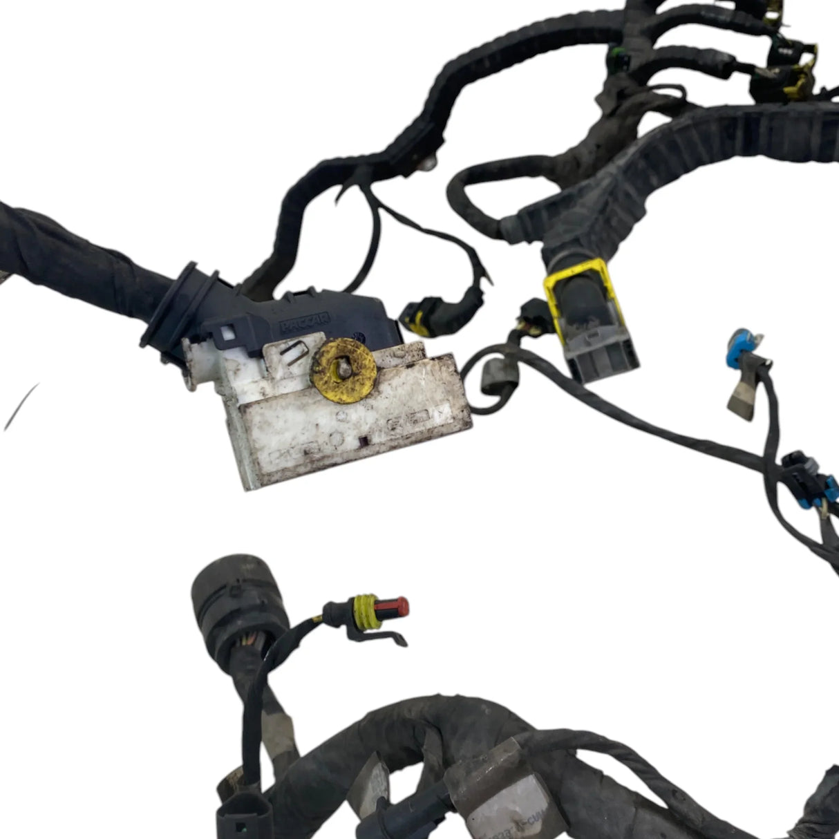 D92-1217-1004200 Genuine Paccar Engine Harness - Second Truck Parts