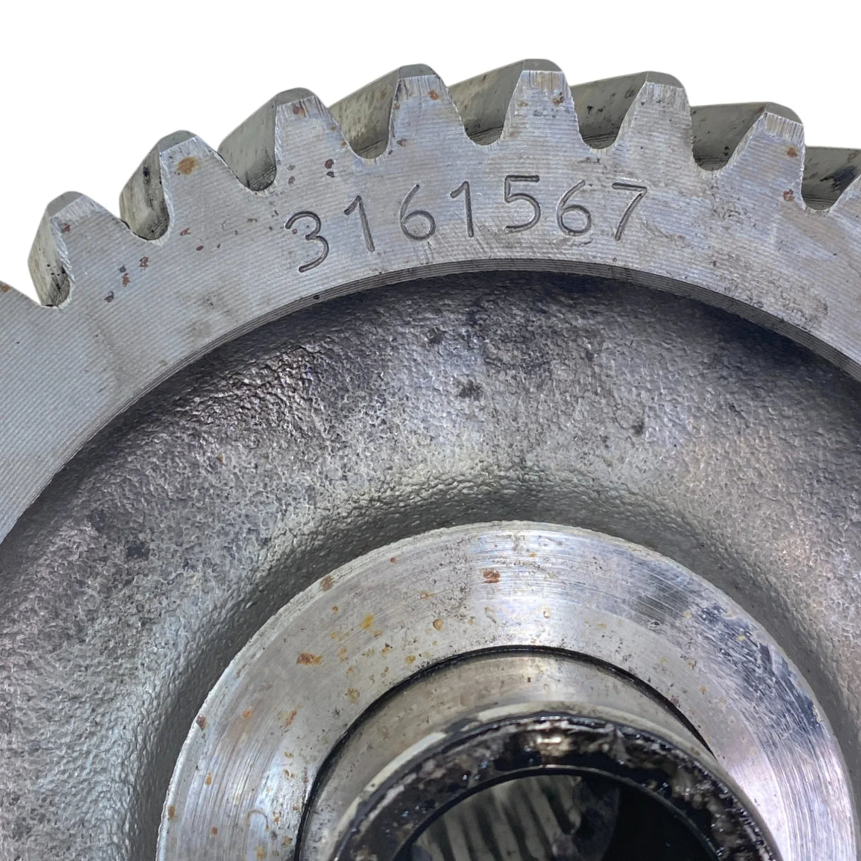 3161567 Genuine Cummins Hydraulic Pump Gear - Second Truck Parts