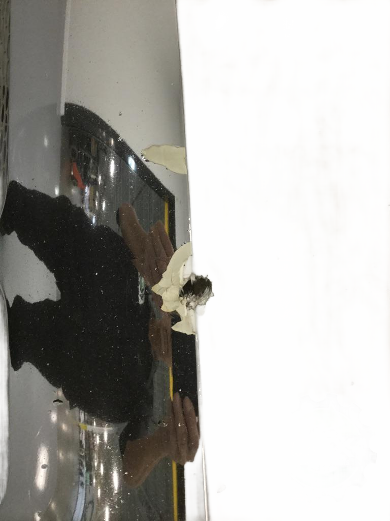 Groomed Pete387 hood with spot mirrors OEM - Second Truck Parts