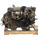 Genuine International Engine
