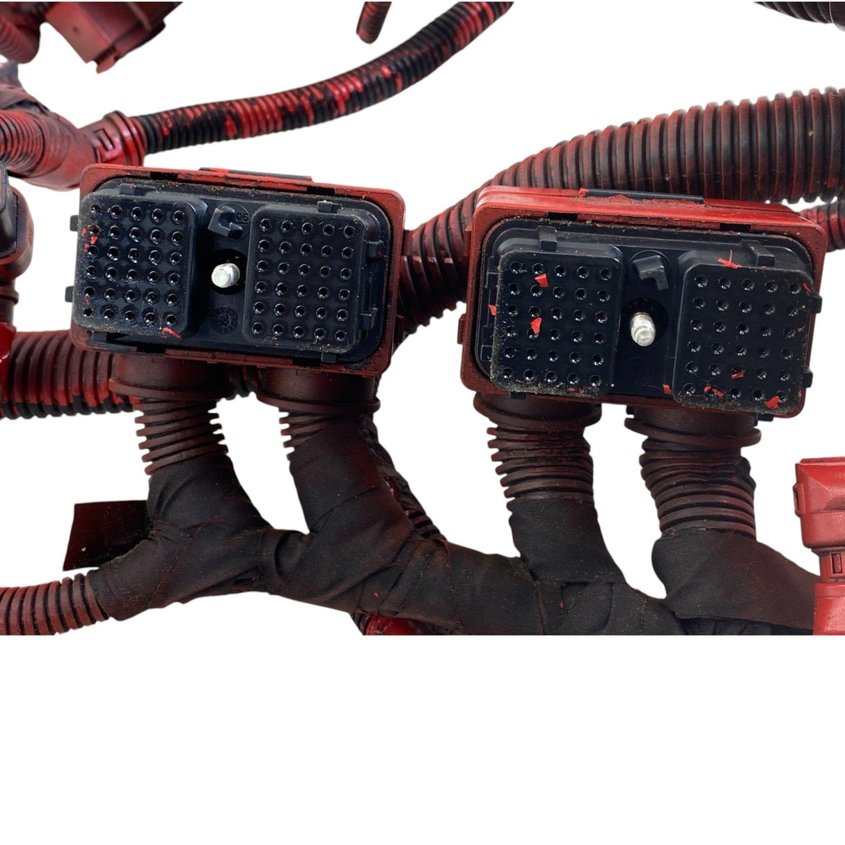5467737 Genuine Cummins ECM Wiring Harness