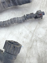 1930436 Genuine Paccar Engine Wiring Harness