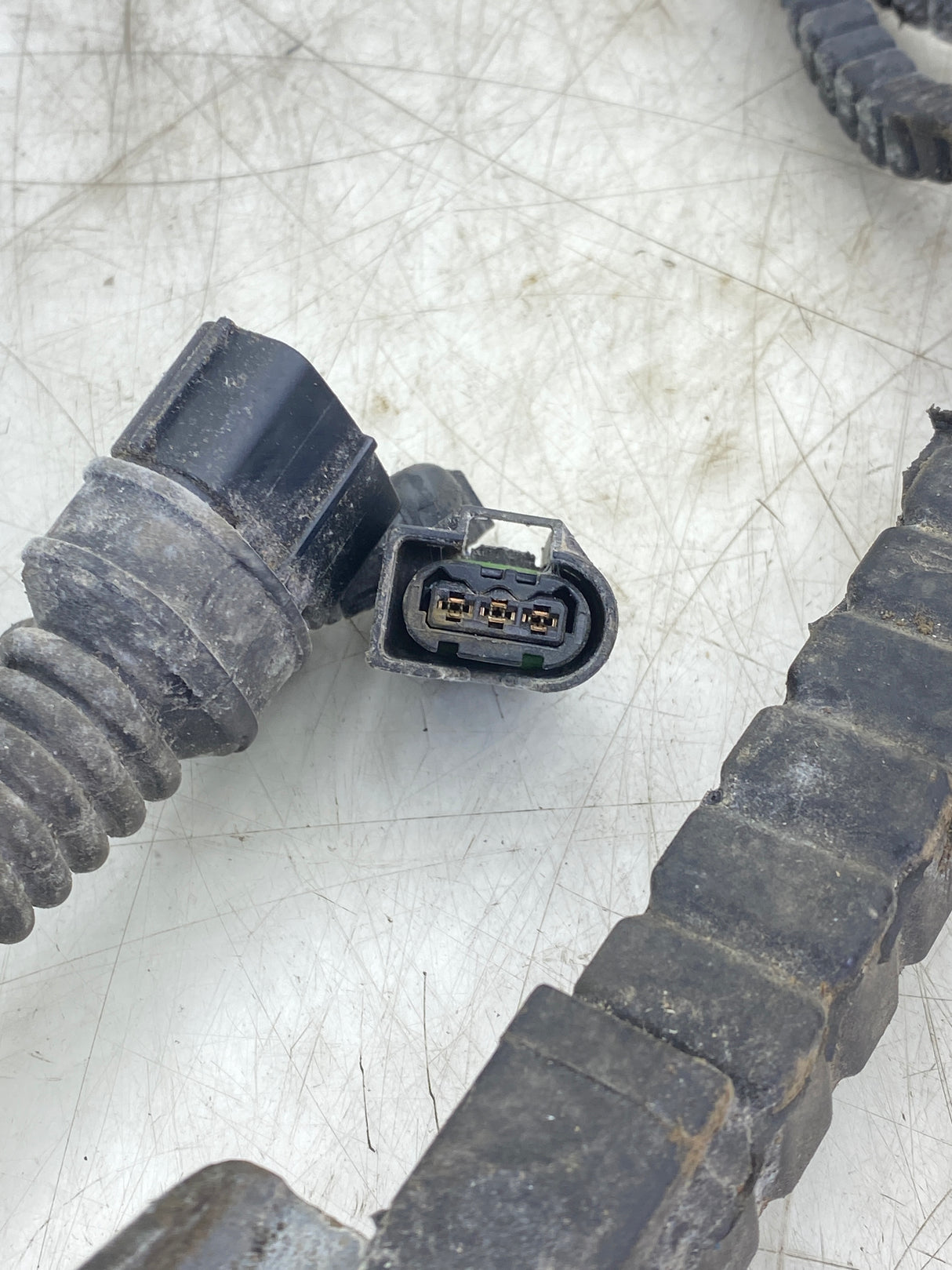 1930436 Genuine Paccar Engine Wiring Harness