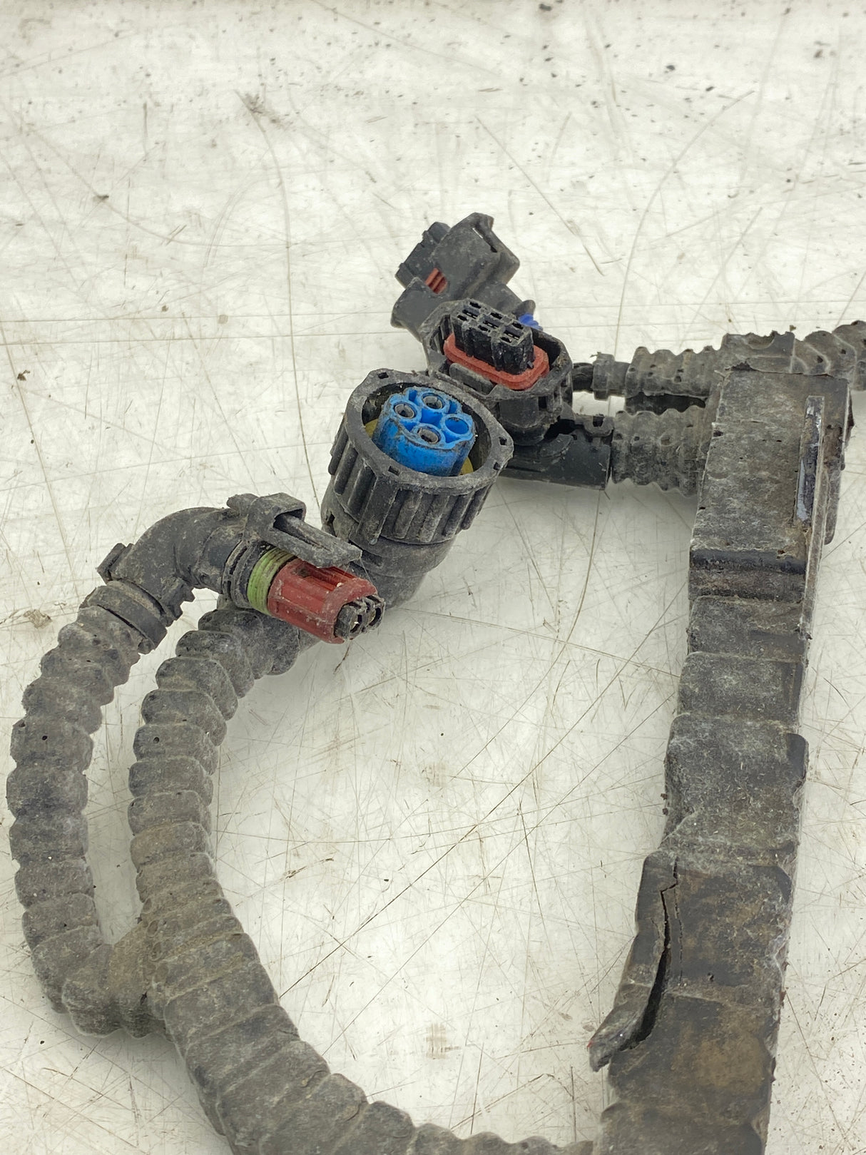 1930436 Genuine Paccar Engine Wiring Harness