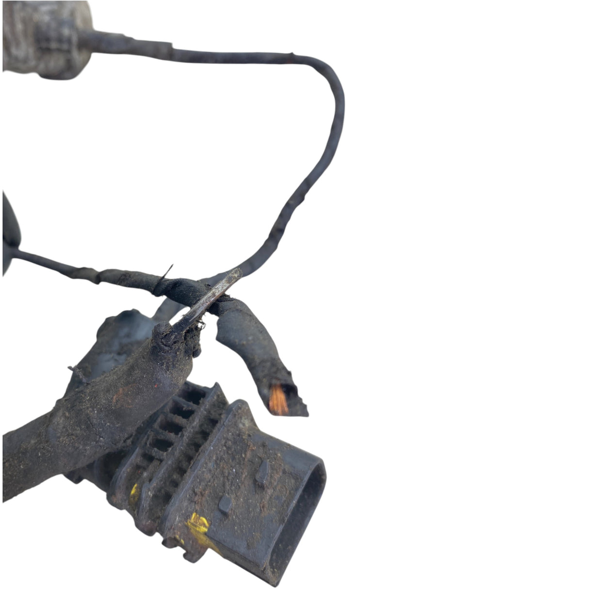 P92-5216-101001 Genuine Paccar Cab Wiring Harness - Second Truck Parts