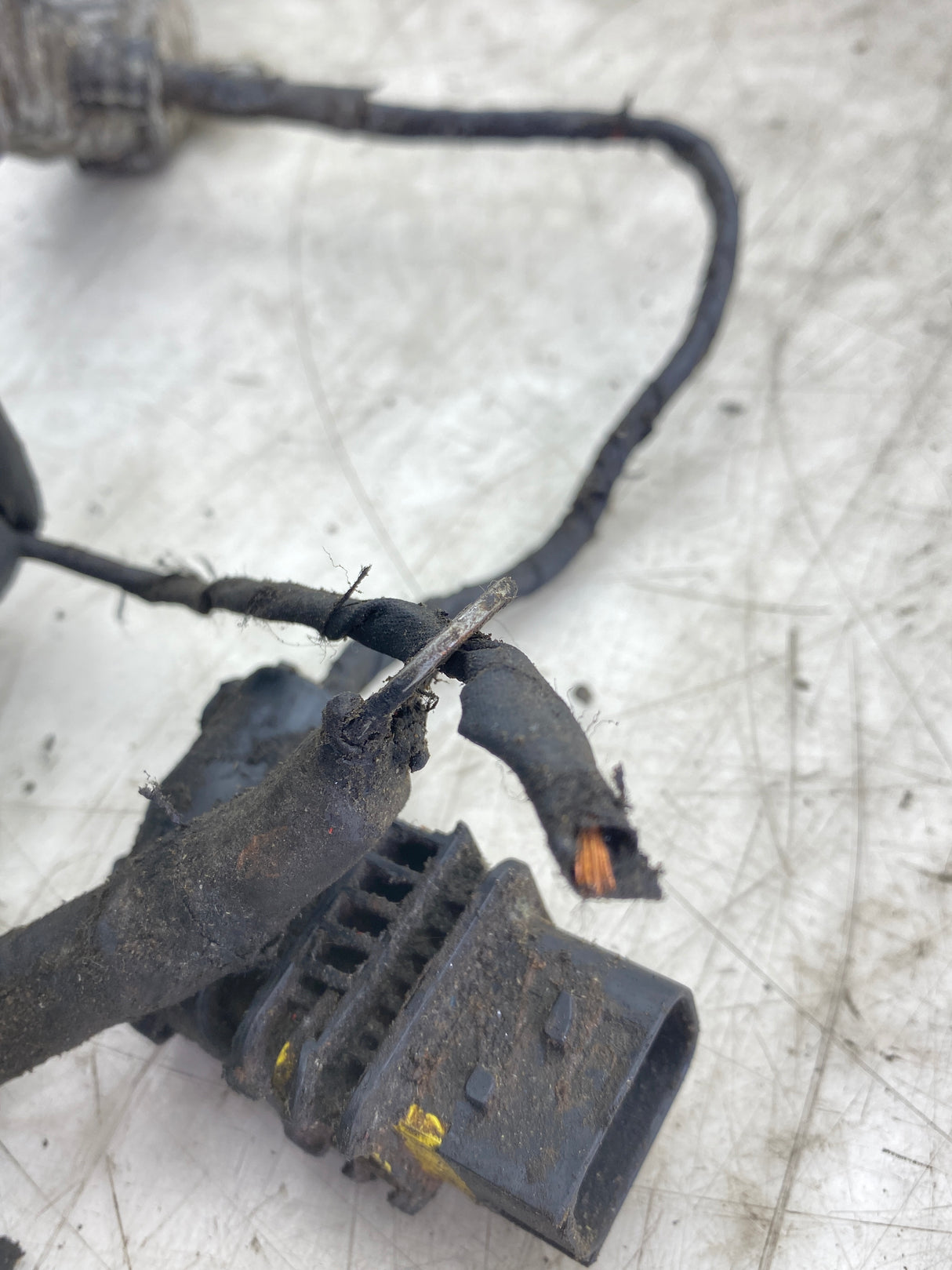 P92-5216-101001 Genuine Paccar Cab Wiring Harness