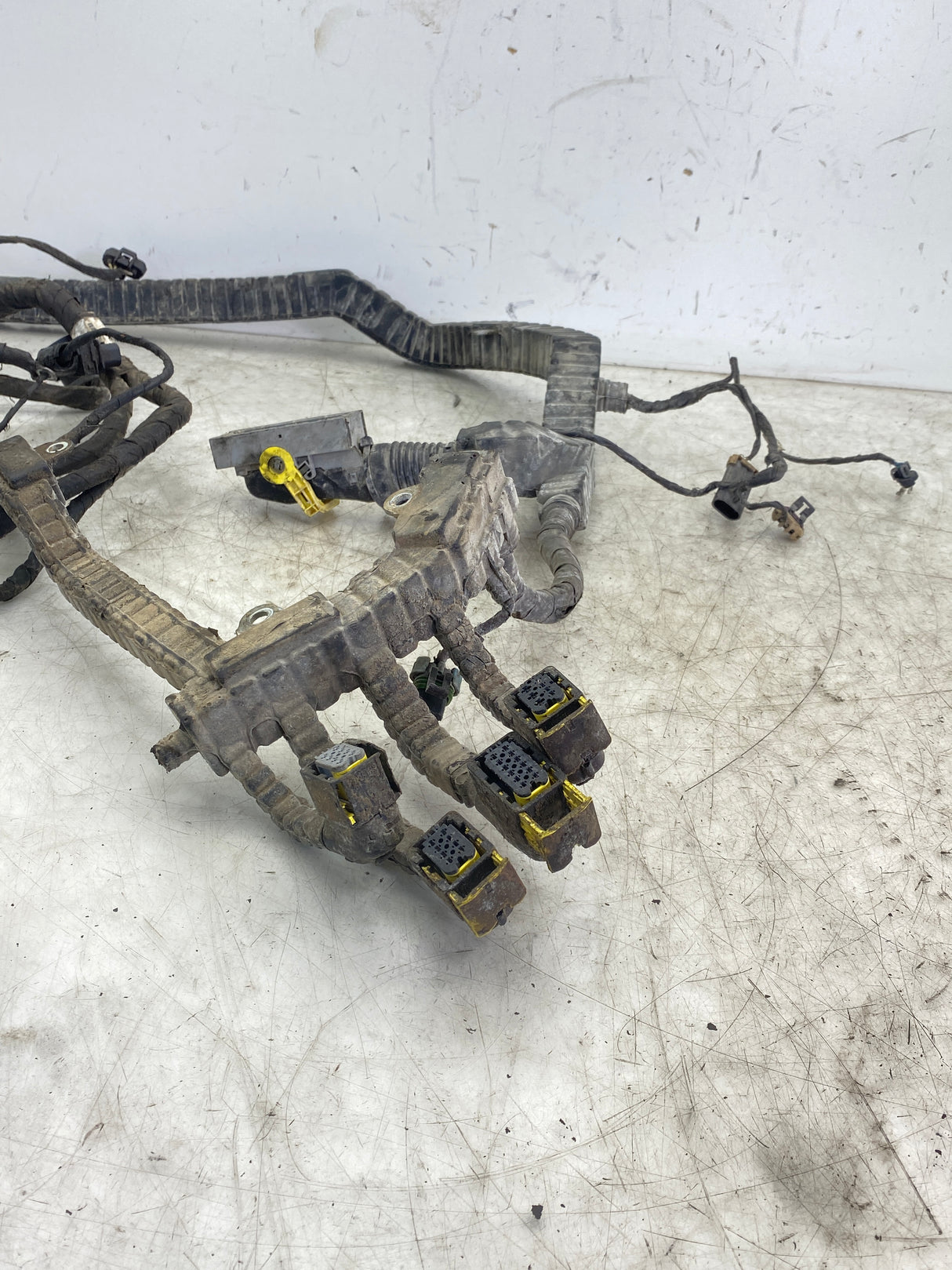 P92-5216-101001 Genuine Paccar Cab Wiring Harness