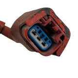 4399793 Genuine Cummins Wiring Harness