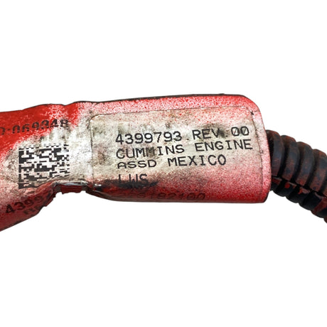 4399793 Genuine Cummins Wiring Harness