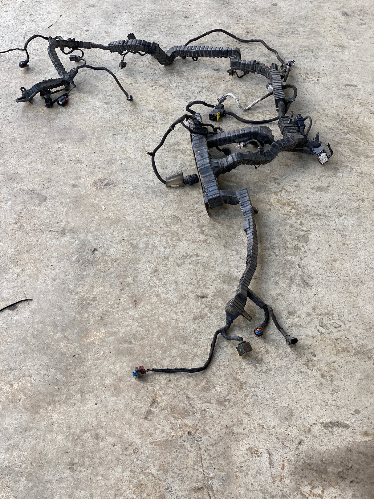 7104674C91 Genuine International Wiring Harness Assembly