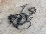 7104674C91 Genuine International Wiring Harness Assembly