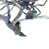 22666245 Genuine Volvo Wires