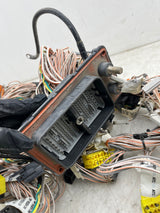 Genuine Volvo Wiring Harness