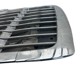 1716026000 Genuine Freightliner Grille P3