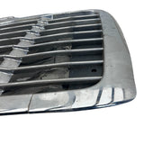 17-16026-003 Genuine Freightliner Grille P3