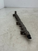 3006765C91 Genuine International Fuel Rail Assembly