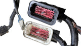 A06-89080-020 Genuine Freightliner Control Module Wiring Harness - Second Truck Parts