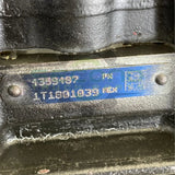 4359487PX Genuine Cummins Injection Fuel Pump - Second Truck Parts