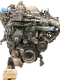 Genuine International Engine - Engines
