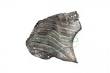 3611075C91 Genuine International Right Hand Fender Inner Panel - Second Truck Parts