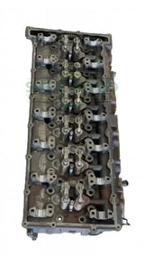 Genuine Paccar Cylinder Head - Cylinders