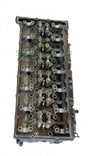 Genuine Paccar Cylinder Head - Cylinders