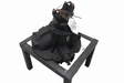 Complete Meritor MA40-165 Carrier in 3 OEM TDAA8-3200-F-2138-307 - Second Truck Parts