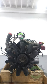 International Maxforce OEM